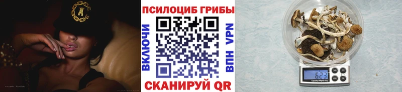 Купить где  Верхний Уфалей  Псилоцибиновые грибы GOLDEN TEACHER 
